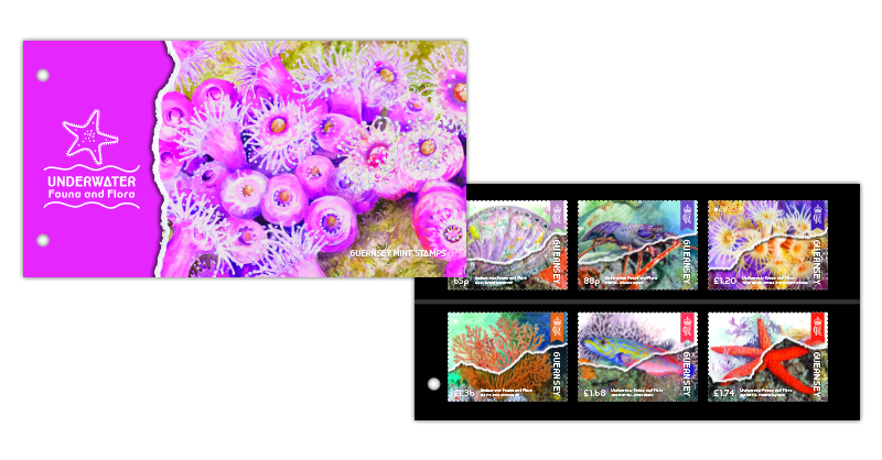 Presentation Pack